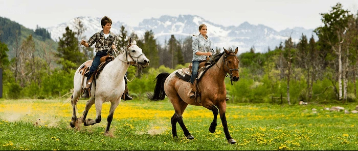 Confident plus-size woman riding Stevenage Ware a horse through a field with a smile on her face.